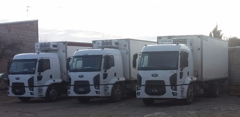 Camiones de la empresa