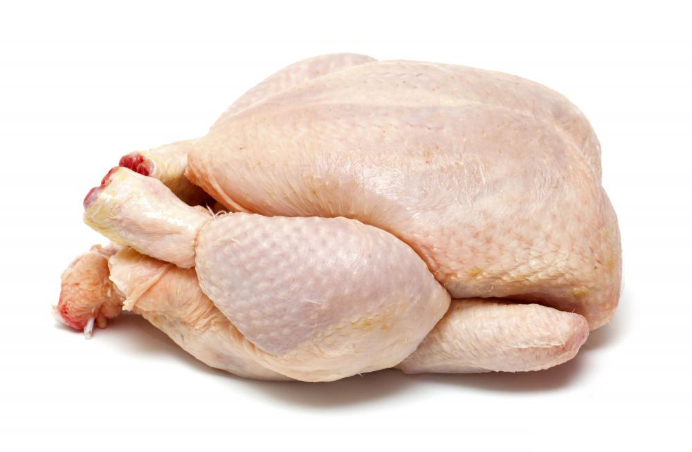 Pollo